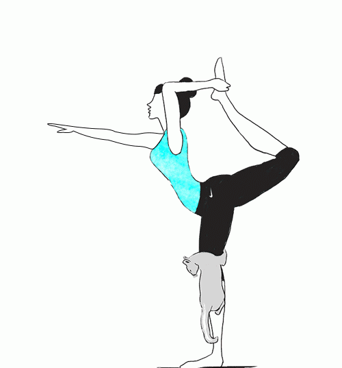 4a0fad79539e4493a116a2a4f9f61530.gif